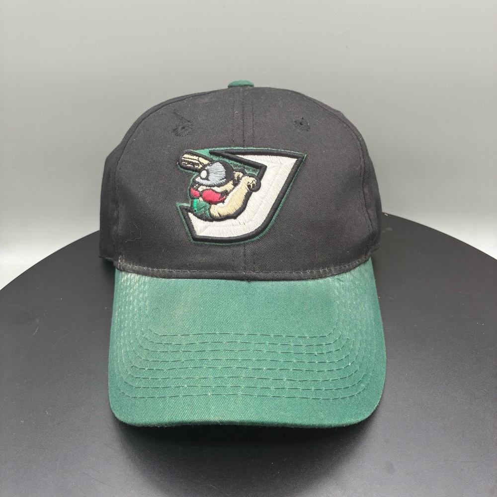 West Tenn Diamond Jaxx OC Sports Youth OSFM Minor League Baseball Hat